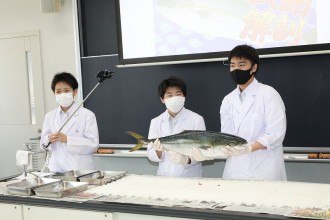 生物研究部ブリの解剖