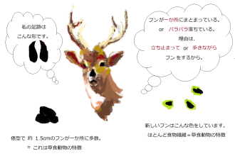 鹿-330x220